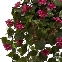 2.5ft. Bougainvillea Hanging Basket