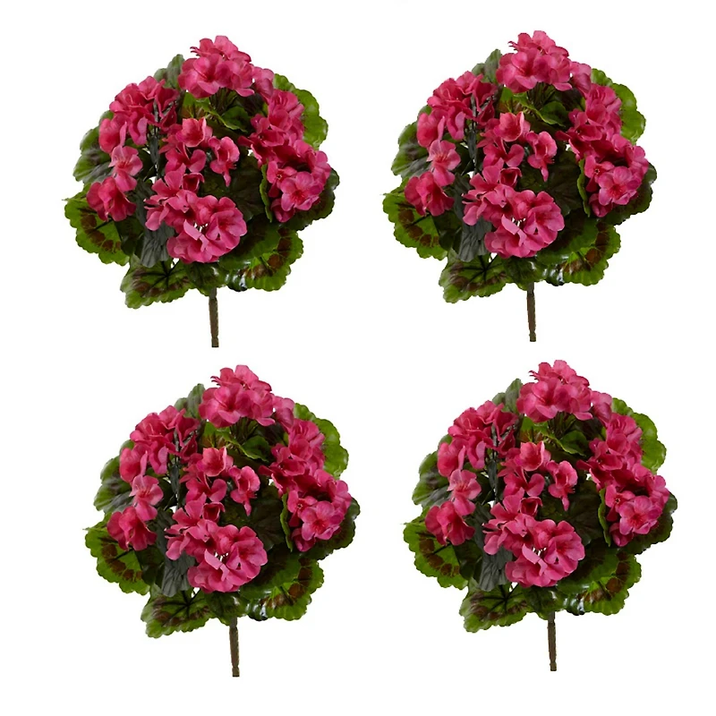 Pink Geranium Bush, 4ct.