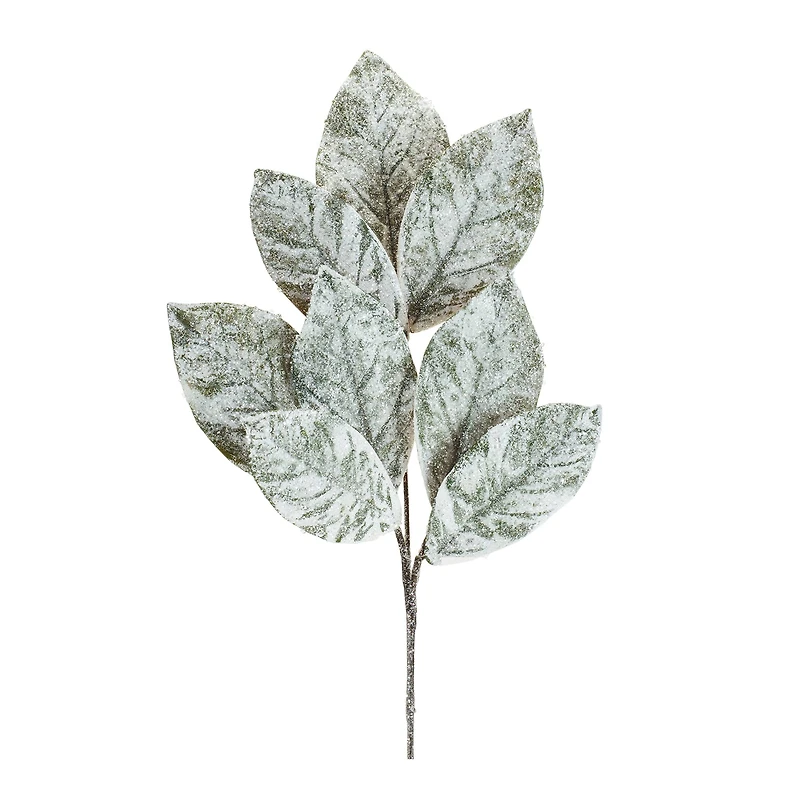 White Magnolia Leaf Sprays, 6ct.