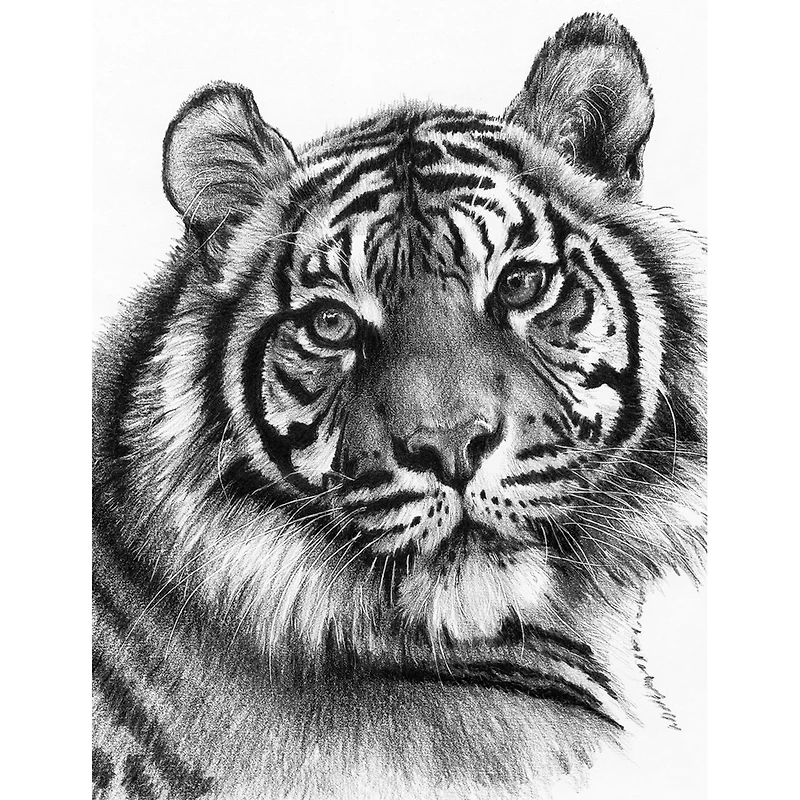 Royal & Langnickel® Sketching Made Easy™ Clawdia Kit