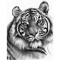 Royal & Langnickel® Sketching Made Easy™ Clawdia Kit