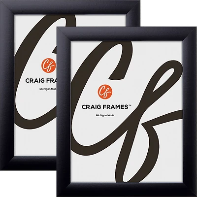 Pack Craig Frames Contemporary Gallery Black Picture Frame