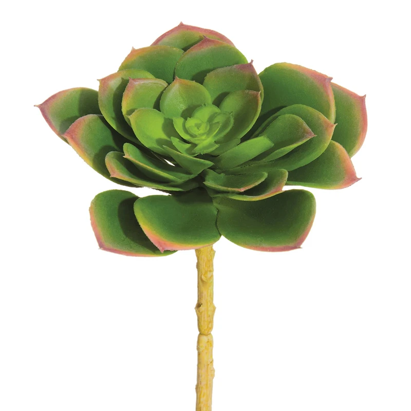 Soft Green & Lavender Echeveria Pick with Yellow Stem