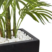 4.5ft. UV Resistant Areca Palm Tree with Black Wash Planter