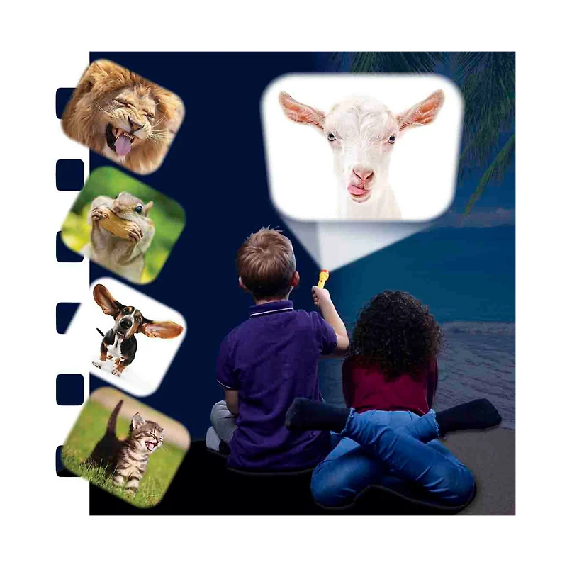 Brainstorm Toys Funny Animals Torch & Projector