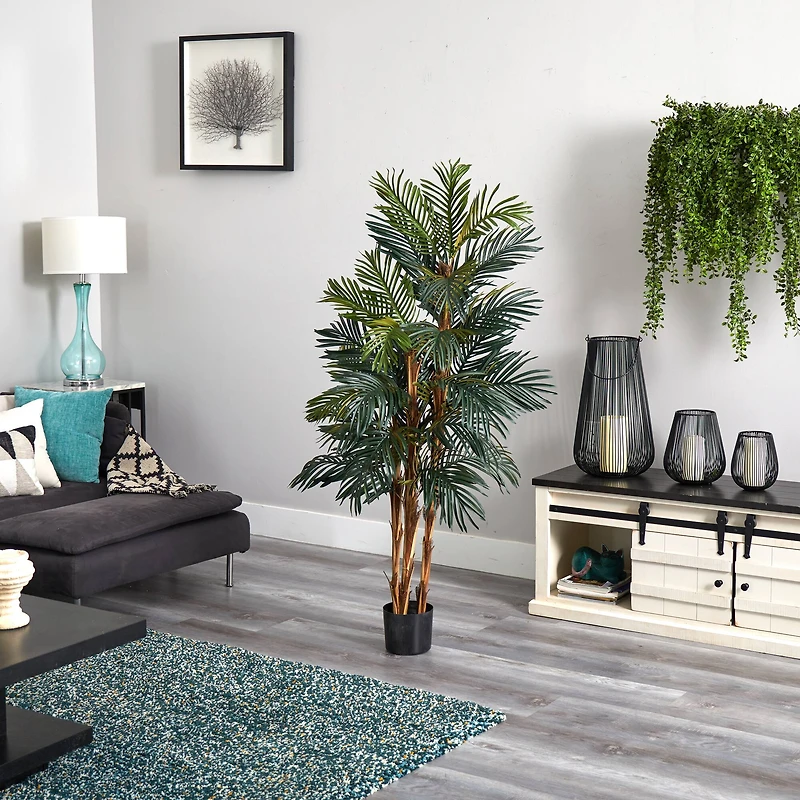 5ft. Potted Robellini Palm Tree