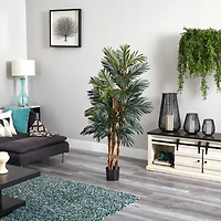 5ft. Potted Robellini Palm Tree