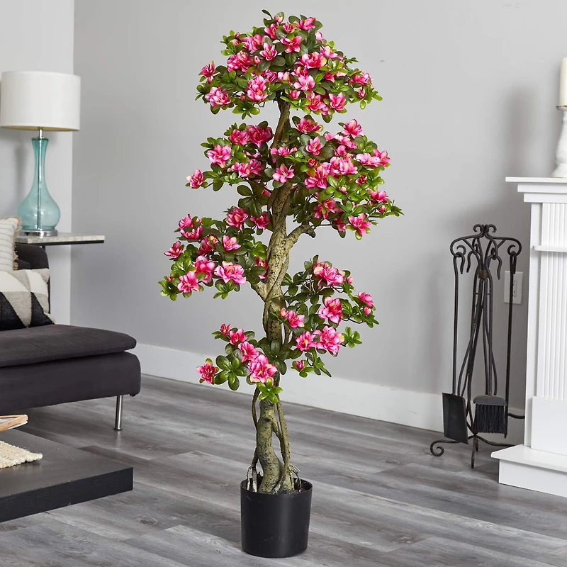 5ft. Potted Azalea Tree