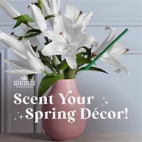 Scentsicles Lemon 'n Lilies Stick 6 ct and Scent Mister Lemon 'n Lilies, 2 pack