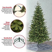 6ft. Pre-Lit Whatcom Pine Artificial Christmas Tree, Clear LED Lights