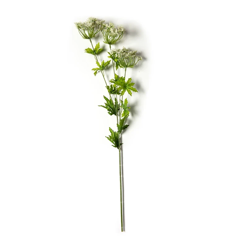 White Queen Anne's Lace Spray by Ashland®