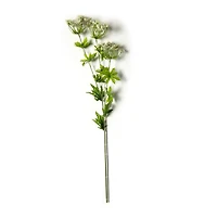 White Queen Anne's Lace Spray by Ashland®