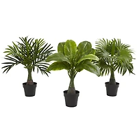 15.5" Areca, Fountain & Banana Palm, 3ct.