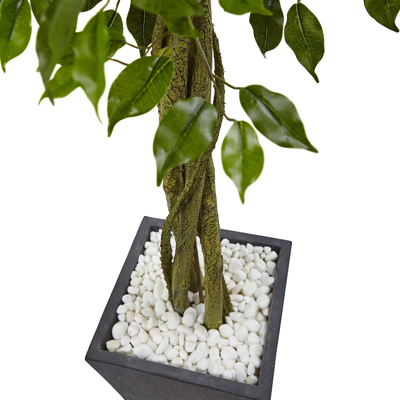 6.5ft. UV Resistant Ficus Artificial Tree in Slate Planter