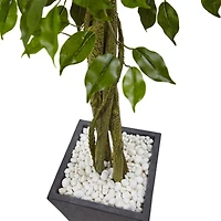 6.5ft. UV Resistant Ficus Artificial Tree in Slate Planter