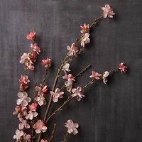 Peach Blossom Stem by Ashland