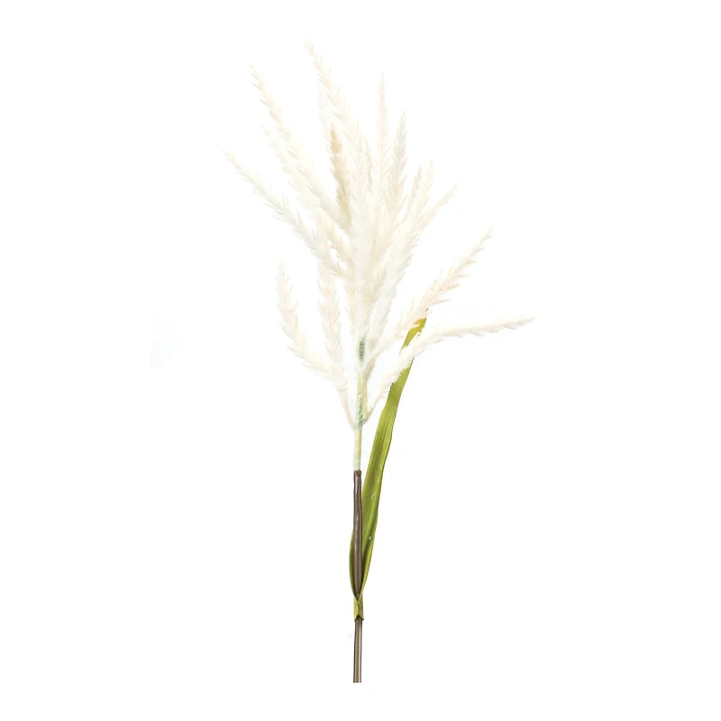 34" White Astilbe Stems, 6ct.