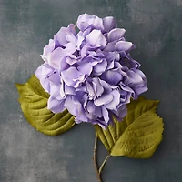 Lavender Hydrangea Stem by Ashland®