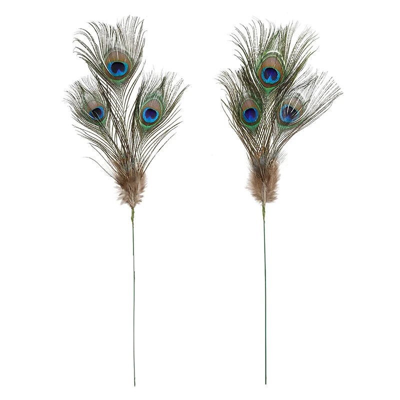 Peacock Feather Picks by Ashland®