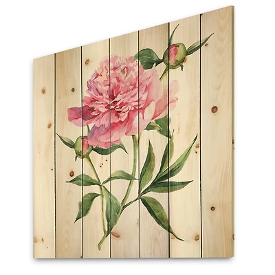 Designart - Vintage Pink Peonies