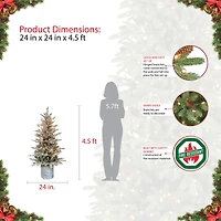 4.5ft. Pre-Lit Flocked Arctic Fir Artificial Christmas Tree, Clear Lights