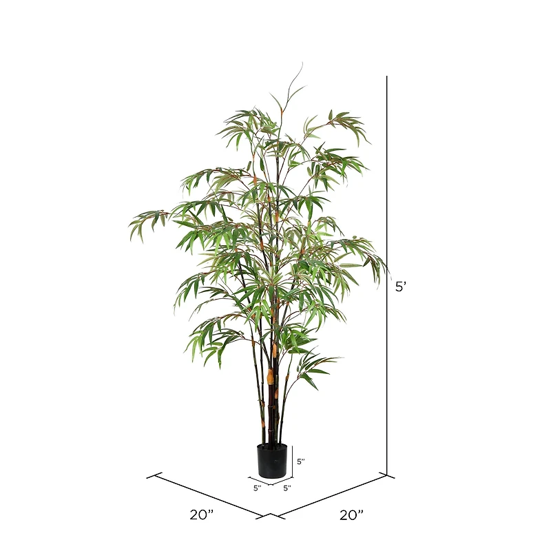 5ft. Potted Black Japanese Bamboo Tree