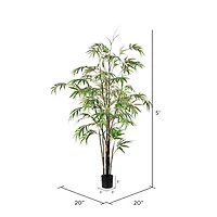 5ft. Potted Black Japanese Bamboo Tree