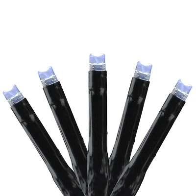 LED's Connect 24V Starter Kit - Transformer Controller and 4 Sets of Christmas Lights - Cool White