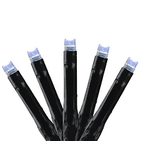 LED's Connect 24V Starter Kit - Transformer Controller and 4 Sets of Christmas Lights - Cool White