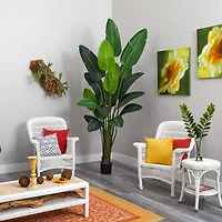 8ft. Potted Travelers Palm Tree