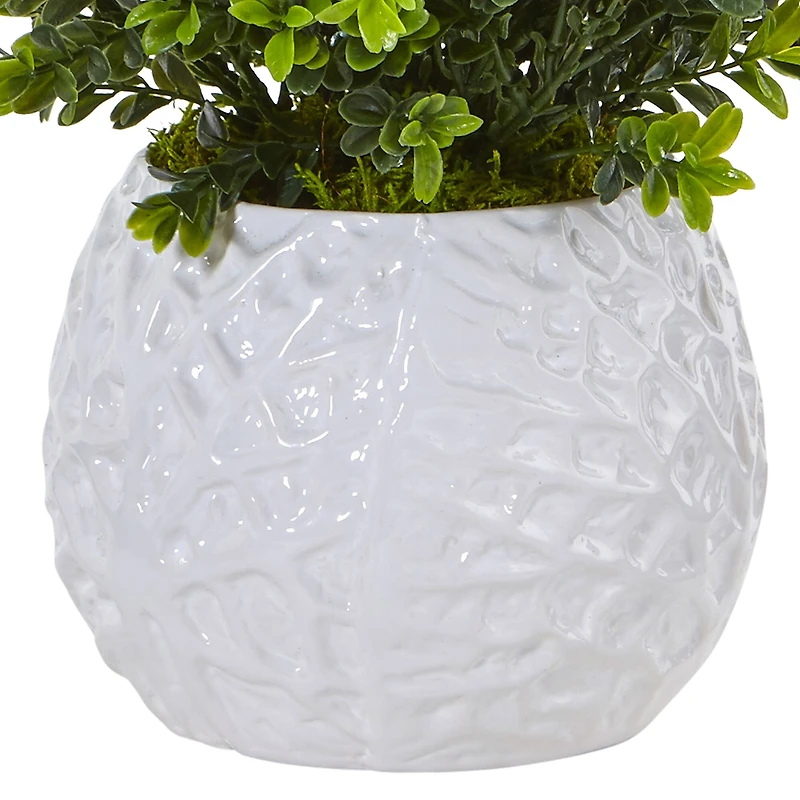 17" Boxwood in White Vase