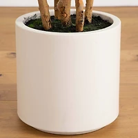 7ft. Fiddle Leaf Tree in Decorative White Planter