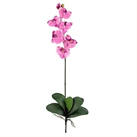 Mauve Moth Orchid Stem, 6ct.