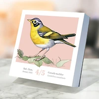 TF Publishing 2025 Birds: Backyard & Beyond Daily Desktop Calendar