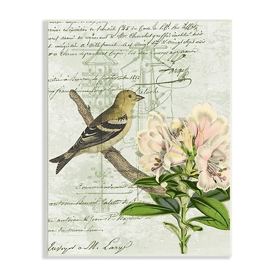 Stupell Industries Bird House Vintage Patent Lily Floral American Goldfinch Wall Plaque