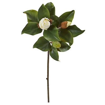 White Magnolia Stem, 4ct. 