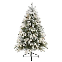 5ft. Pre-Lit South Carolina Spruce Artificial Christmas Tree, Clear LED Lights