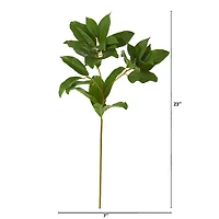 23" Laurel Leaf Artificial Spray (Set of 6)