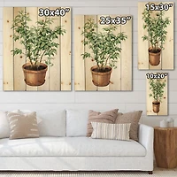 Designart - Ficus Benjamina In Clay Flowerpot - Traditional Print on Natural Pine Wood