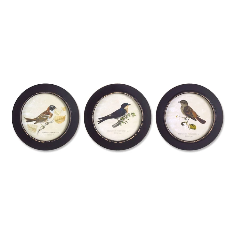 9.5" Wood Bird Print Framed Set