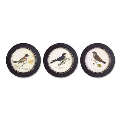 9.5" Wood Bird Print Framed Set