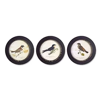 9.5" Wood Bird Print Framed Set