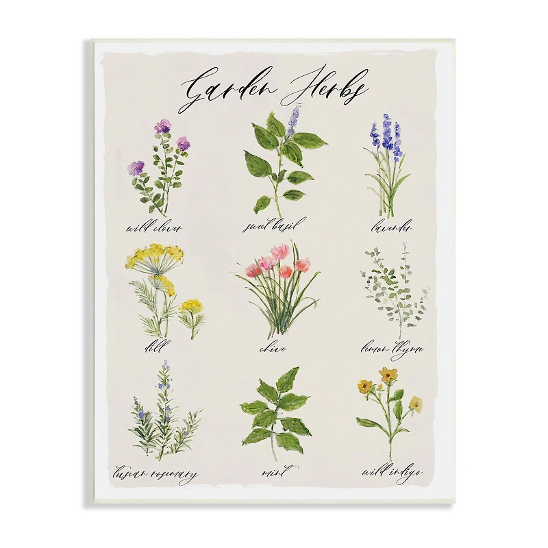 Stupell Industries Garden Herb Illustrated Chart Natural Kitchen Seasoning Wall Plaque