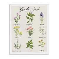 Stupell Industries Garden Herb Illustrated Chart Natural Kitchen Seasoning Wall Plaque