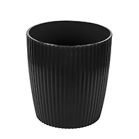 10ft. Potted Fiddle Tree