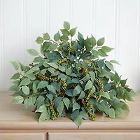 20'' Mixed Ficus & Fittonia Ledge Plant 