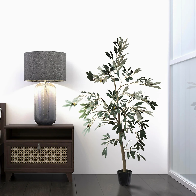 4ft. Potted Olive Tree