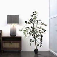 4ft. Potted Olive Tree