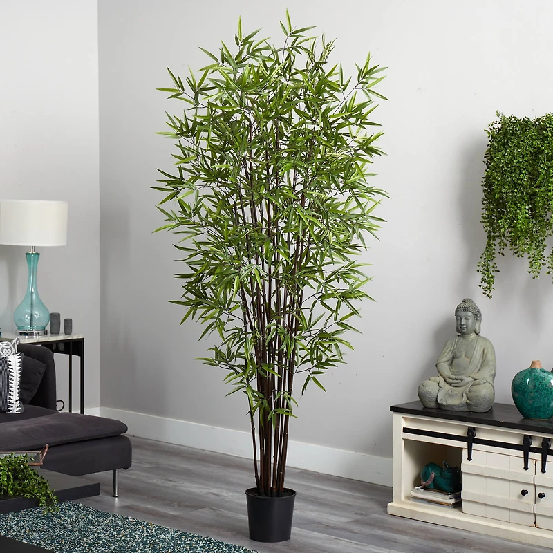 6.5ft. Potted Black Bamboo Silk Tree