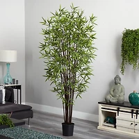 6.5ft. Potted Black Bamboo Silk Tree 
